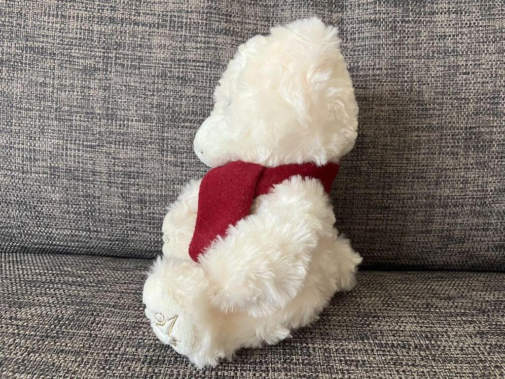 [USED] Plush Teddy Bear THE KISS