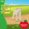 Schleich Farm World Sheep Ages Realistic Farm Animal Toy 13883N (Baby) Figure, 3+,