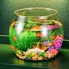 Durable Round Imitation Glass Fish Tank - Mini Desktop Turtle & Goldfish Aquarium