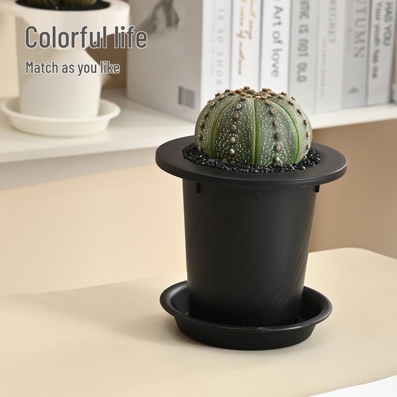 Large Round Resin Flower Pot for Cactus & Succulents - Desktop Home Garden Planter