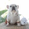 Medium Dogs French Bulldog Puppy Dog Costume Cats Shirt Pet Lovers' Clothes Pet Skirts Dog Dress