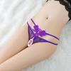 Solid Color Embroidered Butterfly Female Underwear Beaded Decoration Thongs Transparent Gauze Crotchless Erotic G-String Panties