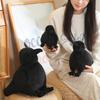 Cartoon Black Crow Doll Interesting Funny Animal Plush Doll Boys Girls Crow Plush Toy  Kids Toy