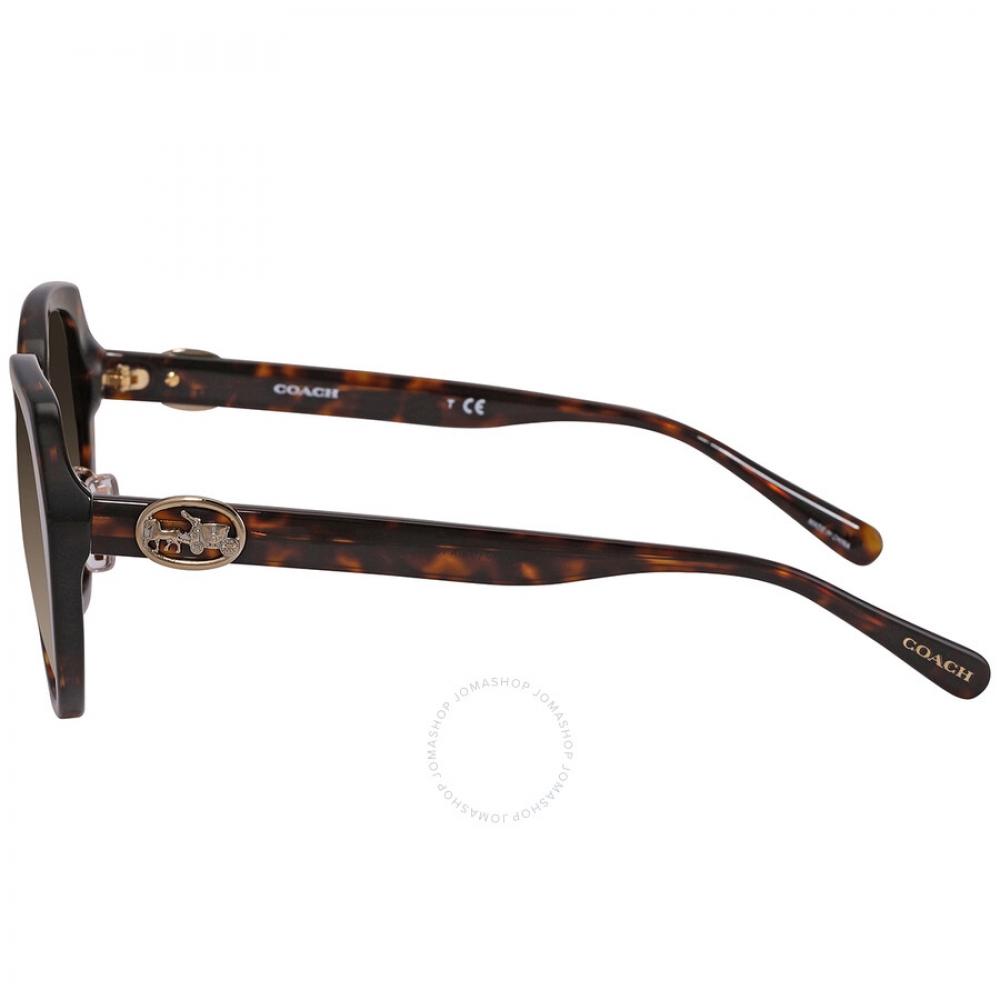 Coach Женские солнцезащитные очки-бабочки с коричневым градиентом Hc8331 512013 55