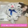 [USED] ILLIT Iroha Plush Keyring with Photo 1st Anniversary Goods
