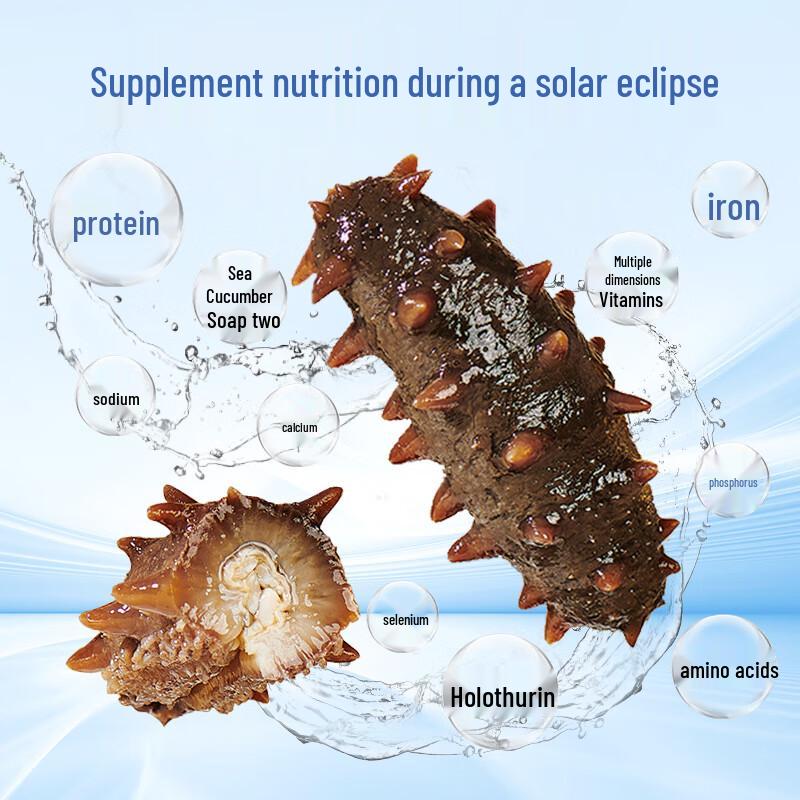 Authentic Dalian Liaoshen Frozen Sea Cucumber