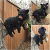 Funny Black Bear Napping Hanging Out In A Tree Figurine - Outdoor Tree Decor & Garden Sculpture