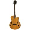 ARIA Stained Brown Electric Acoustic Guitar Aria FET-F2