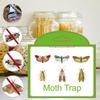 2/5/10 Pcs Moths Traps Pantry Clothes Kitchen Food Home Garden Pest Control Moth Traps Pheromone Moths Sticker Moths Trap