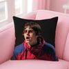LLiam Gallagher Pillow Shameless TV Cushion Cover Pillow Case Soft Friendly Fabric  Concealed Zipper