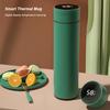 Термос 480 мл с интеллектуальным дисплеем температуры, термокружка из нержавеющей стали, герметичная термокружка для кофе, бутылка для воды с изоляцией