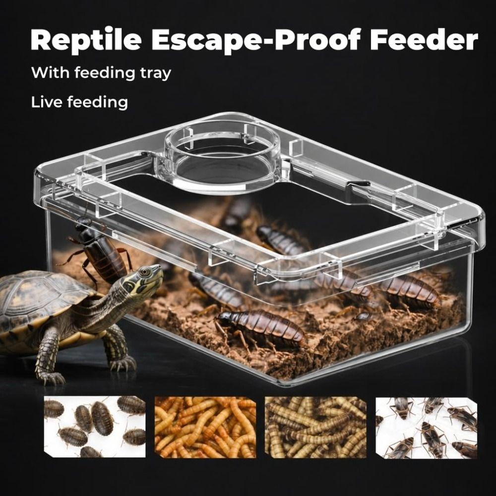 Escape-Proof Pet Feeding Bowls Easy Clean Reptile Feeder Dish Habitat Accessories