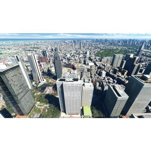 Симулятор полетов Microsoft: Стандартная японская версия