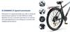 PASEBIKE C29 Electric Bike EU 250W 65Nm 48V 21Ah 25km/h 120km Range 29x2.1 E-bike