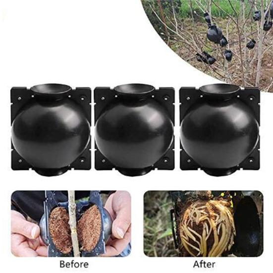 10 шт. коробка для выращивания корней растений, прочная структура, антидеформирующийся пластиковый шарик для размножения растений, устройства для бесполого размножения для сада