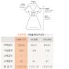 SHiz Madam Women S Flare H Line Rayon SleeveleSS dreSS N2727