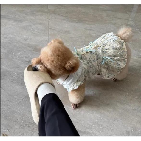 Pet Autumn/Winter Floral Bow Skirt Teddy Dog Cat Pet Tank Top Dog Dresses for Small Dogs Puppy Clothes Christmas Clothes