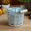 2 Pieces Rustic Iron Dried Shabby Pots with Wooden Handle for Garden