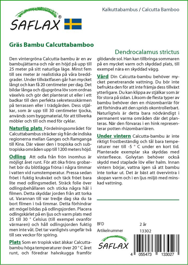 SAFLAX Калькуттский бамбук - 50 семян - Dendrocalamus strictus