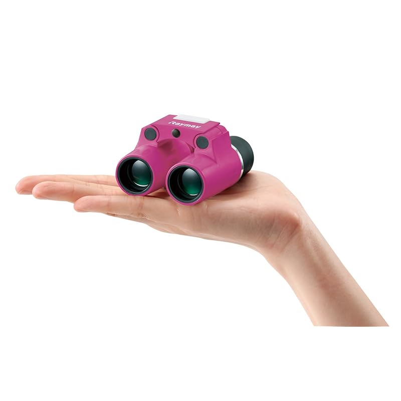 Reimei Fujii binoculars free focus roof prism 6 times pink RXB374P