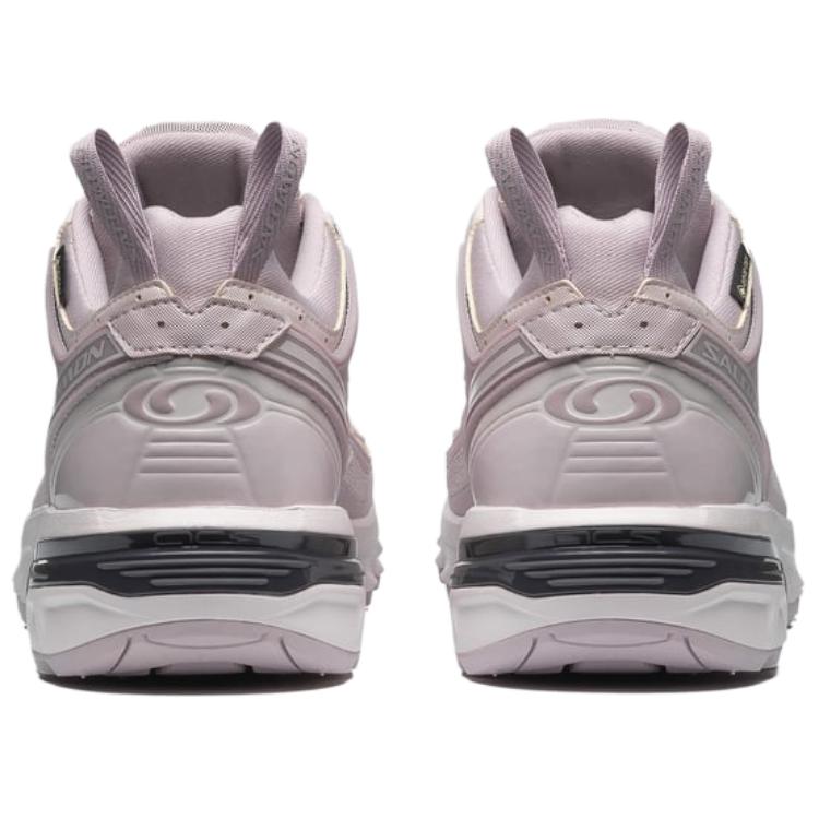 SALOMON Кроссовки унисекс ACS Pro GORE-TEX Cloud Grey Lilac Ash Nine-Iron L47599600