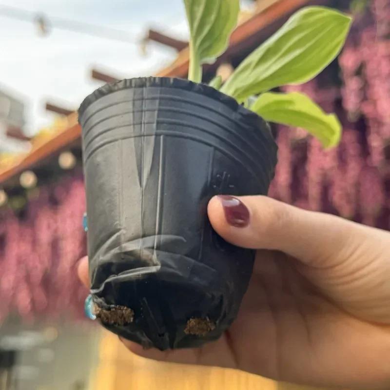 50/200pcs Black Seedling Nursery Pots Seed Starting Grow Cup Flower Plant Container Garden Vegetable Box Home Gardening Tools