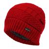 Fashion Wool Hat Autumn and Winter Plus Velvet Thick Warm Hats Hip Hop Outdoor Wild Cap Old Man Cold Caps