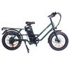 GOGOBEST GF200 Electric Bike, 500W Motor, 48V 15.6Ah Battery, 20*3.0 Inch Tires, 45km/h Max Speed, 80km Max Range
