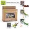 Montessori Animal & Plant Growth Cycle Teaching Toys for Kids