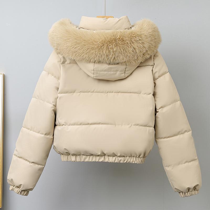 Модное зимнее пальто женское короткое парки с капюшоном воротник из искусственного меха свободное толстое теплое женские куртки