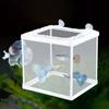 Aquarium Isolation Net Breeding Box Incubator Box Fish Tank Incubator Fish Breeding Breeder Box