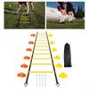 Soccer Agility Training Equipment Set 4 Steel Pegs Sensitive Ladder Speed for