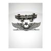 Air Force Pilot Badge Badge Silver Oxide 7.5cm