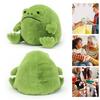 Green Frog Doll Toy Stuffed Animal Plush Frog Figure Hugging Pillow Cushion Home Decoration for Kids Adults Girls Boys