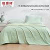 Hengyuanxiang Cooling Antibacterial Summer Quilt