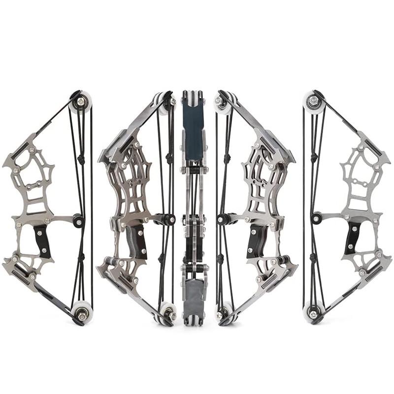 Longzhan Outdoor Compound Bow and 12-Arrow Set