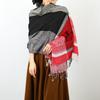 New Shawl Stripes Contrasting Colors Autumn and Winter Fashion Fringed Women's Scarf Light Luxury Large Size Shawl