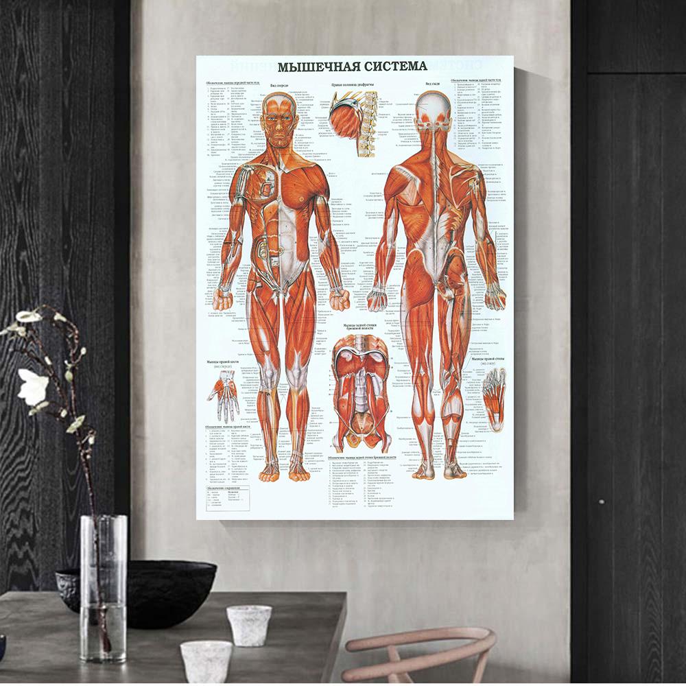 Retro Organ Systems In The Human Canvas Painting Posters Skeleton Anatomy Kraft Paper Prints Vintage Home Room Art Wall Decor Paintings