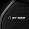 WYGL9 For Citroen C1 C2 C3 C4 C5 C6 C8 C4L DS3 DS4 DS5 DS5LS DS6 3D Car Styling Sticker Aluminum Emblem interior Speaker audio Badge
