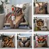 Floppa Cat Meme Pillow Case Plush Fabric Soft Double Sided Print Home Sofa High Quality Cushion Cover Throw