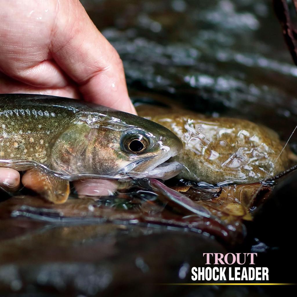 VARIVAS Trout Shock Leader Fluorocarbon 30m 2.5 (10lb.over)