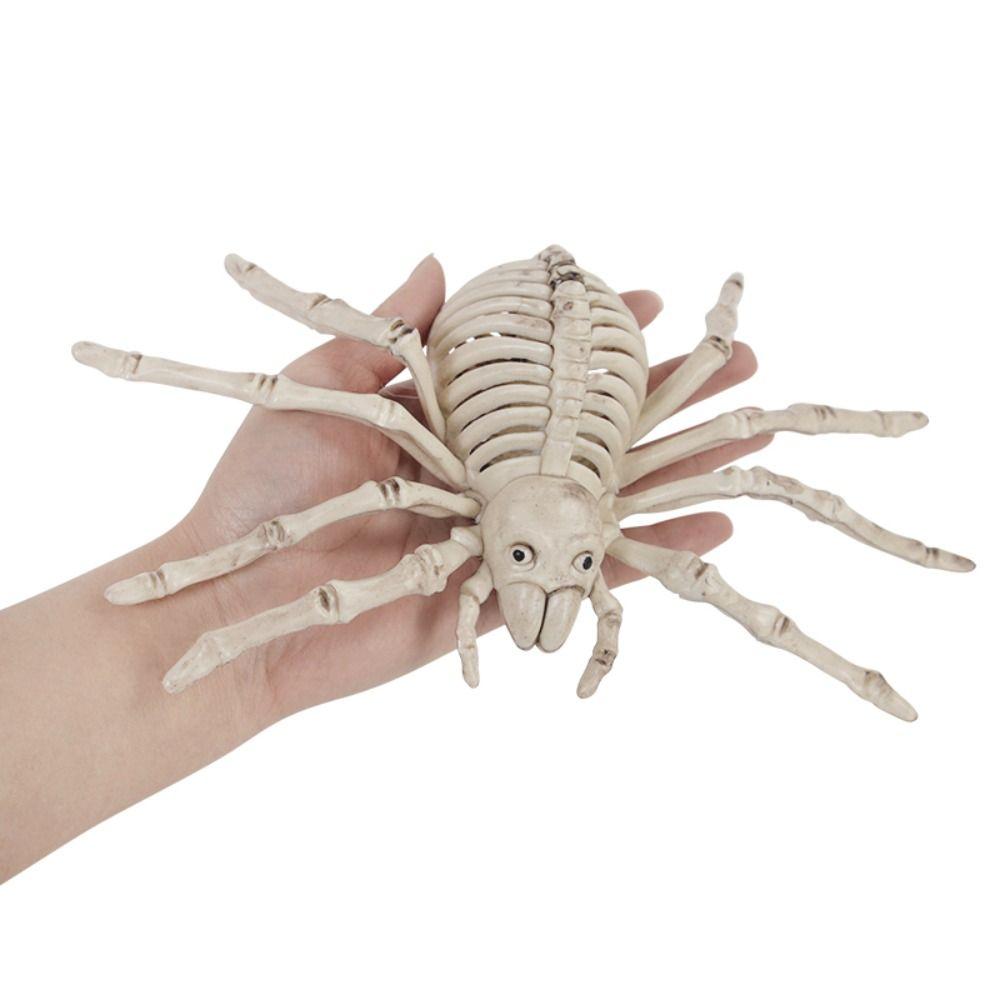 Skeleton Model Halloween Animal Skeleton Bat Mouse Lizard Scorpion Halloween Bats Skeleton Home
