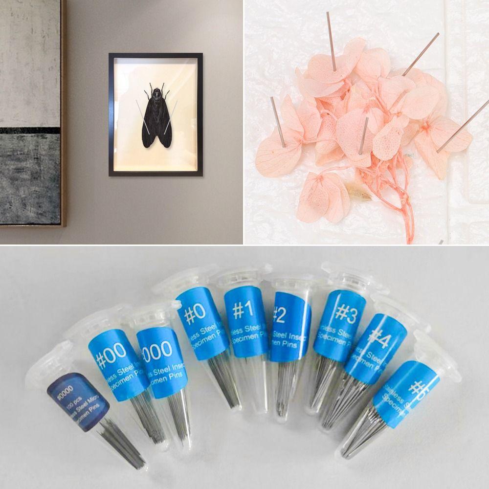 100 шт. высокопрочных лабораторных принадлежностей для энтомологии, штифтов для образцов, приспособлений для вскрытия насекомых, игл, штифтов