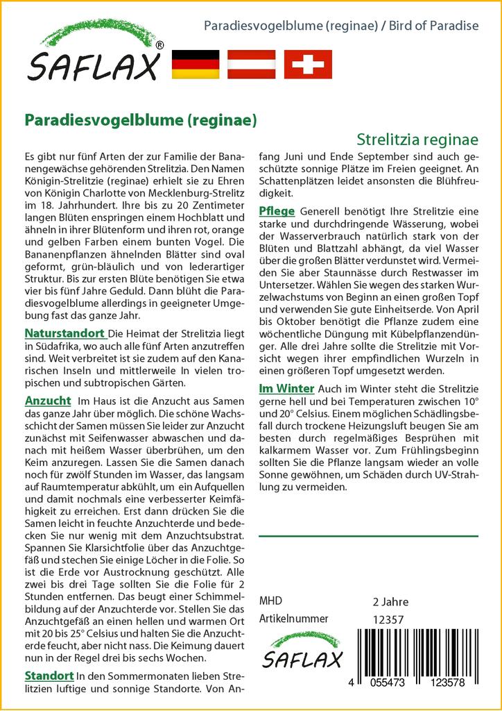 SAFLAX - Gift Set - Bird of Paradise - 5 seeds - With gift box, card, label and potting substrate - Strelitzia reginae