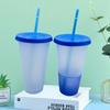 700ml Water Cup Eco-friendly Leakproof PP Color Changing Straw Cup Supplies Dorm