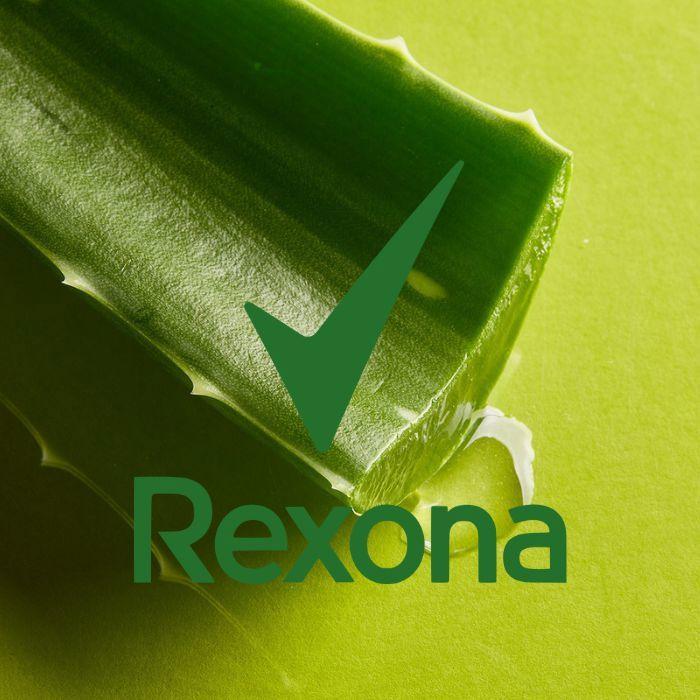 Deodorant - REXONA - Woman - Aloe Vera - 200ml - Alcohol-free