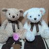 [USED] Tully's Bearful Teddy Bear 15th Anniversary Brown White