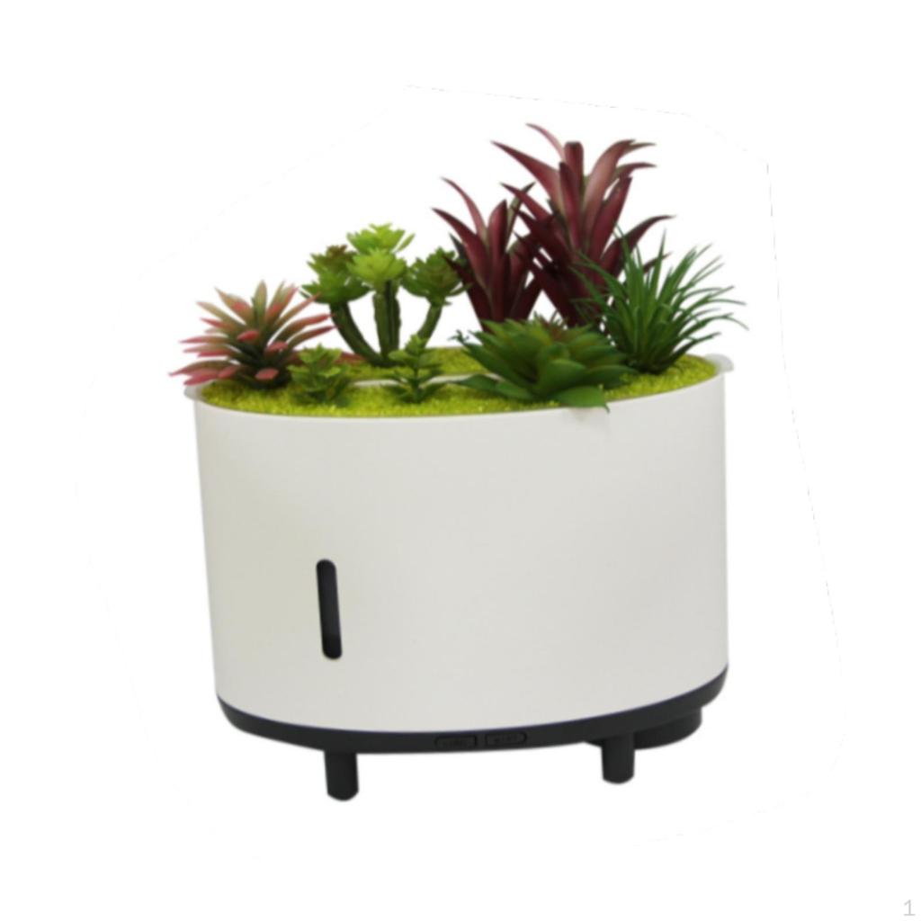 Aroma Diffuser for Essential Oils, Humidifier with Light, Artificial Plant, Music,