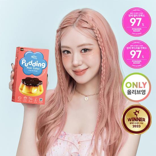 Краска для волос EZN Pudding 22 типа, выберите 1 (краситель)