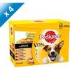 PEDIGREE Sachets Fraîcheur En Sauce 4 Variétés - Pour Chien - 12x 100 G (x4)